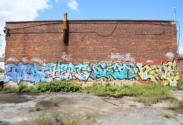 Carousel Image number 6